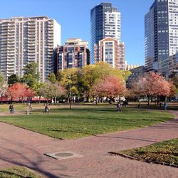 View of park in city