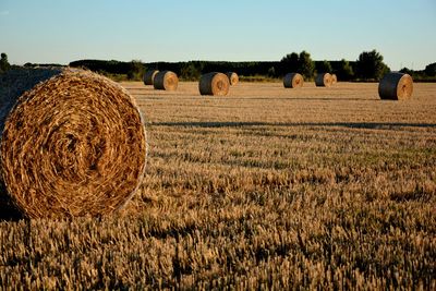 Hay bales on field against sky