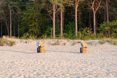 View of the beach