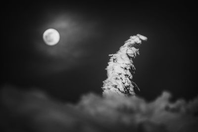 Low angle view of moon against sky at night