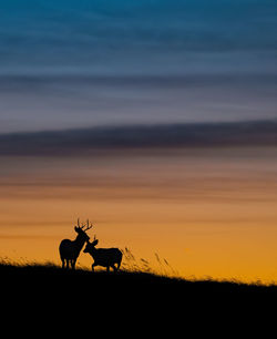 Silhouette horse on field against sky during sunset