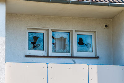 View of birds on window