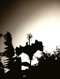 Low angle view of silhouette trees against sky