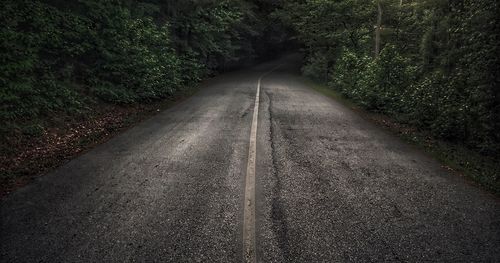 Empty road along trees in forest