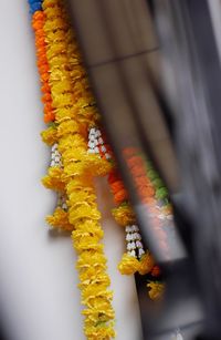 Close-up of yellow flowers