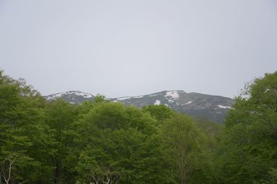 Scenic view of trees and mountains against clear sky