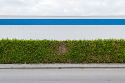 Plants growing on field against sky