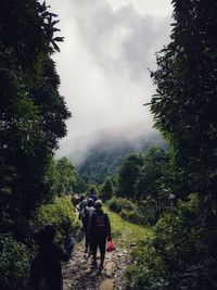 Rear view of people walking on mountain against sky