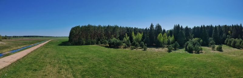 Trees on field against clear sky