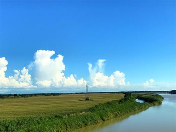 Scenic view of field against sky