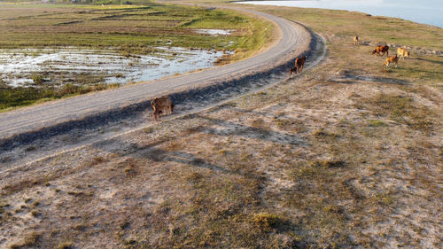 Road passing through land