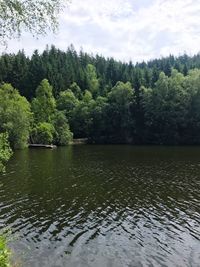 Scenic view of lake against trees in forest