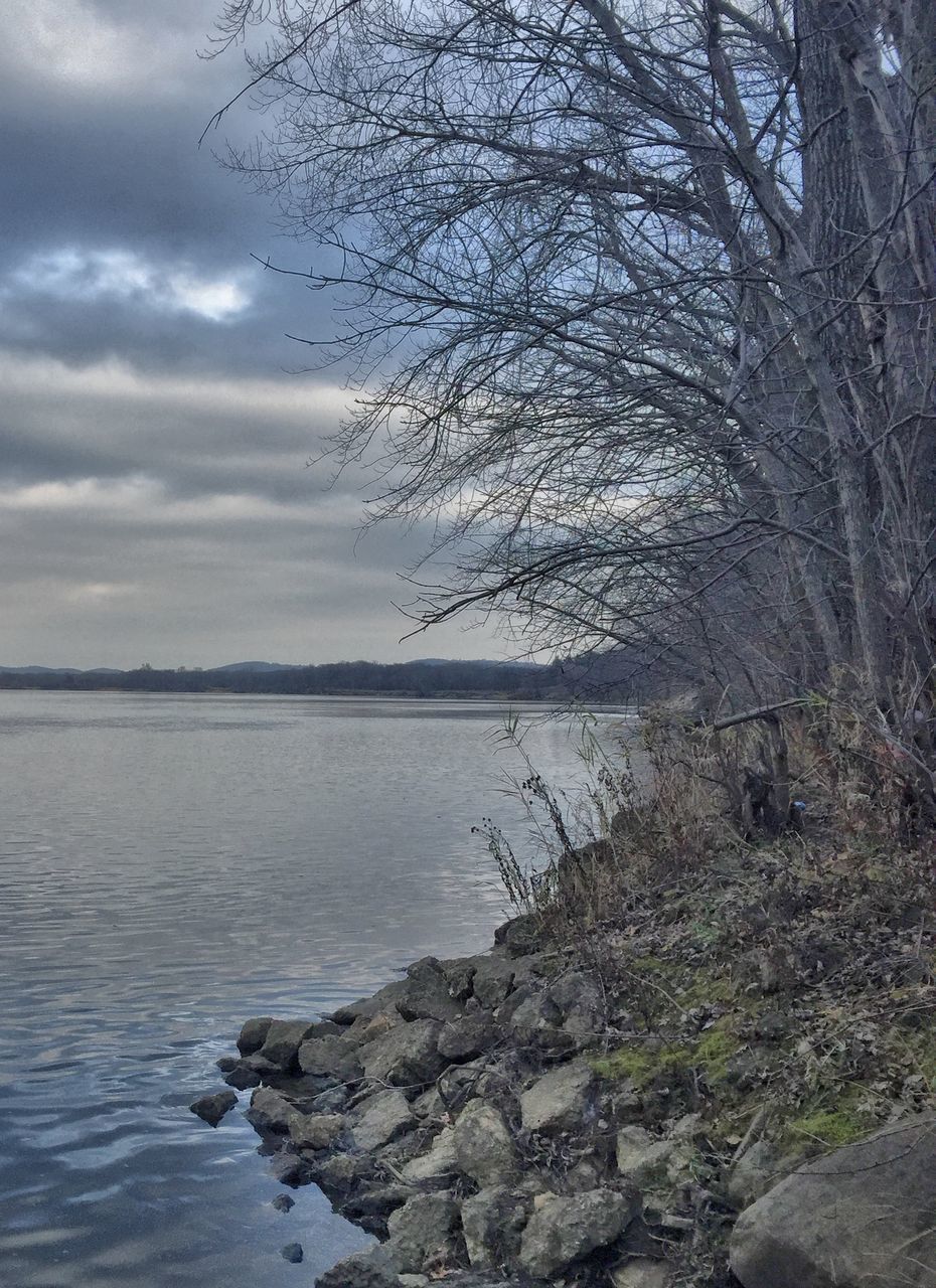 water, tranquility, tranquil scene, tree, sky, scenics, beauty in nature, nature, bare tree, cloud - sky, lake, branch, river, rock - object, non-urban scene, idyllic, lakeshore, day, cloudy, no people