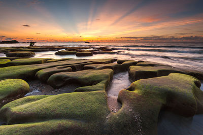 Boulders of rock covered by moss at beach during sunset in kudat