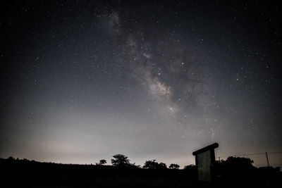 Low angle view of silhouette trees against star field at night