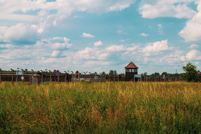 Plants on field by houses against sky