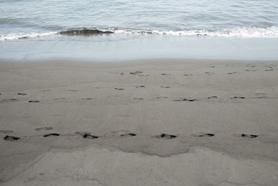 High angle view of beach