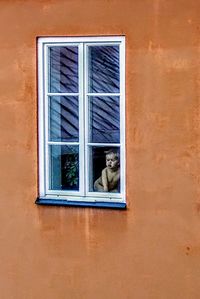 Cat looking through window of a building