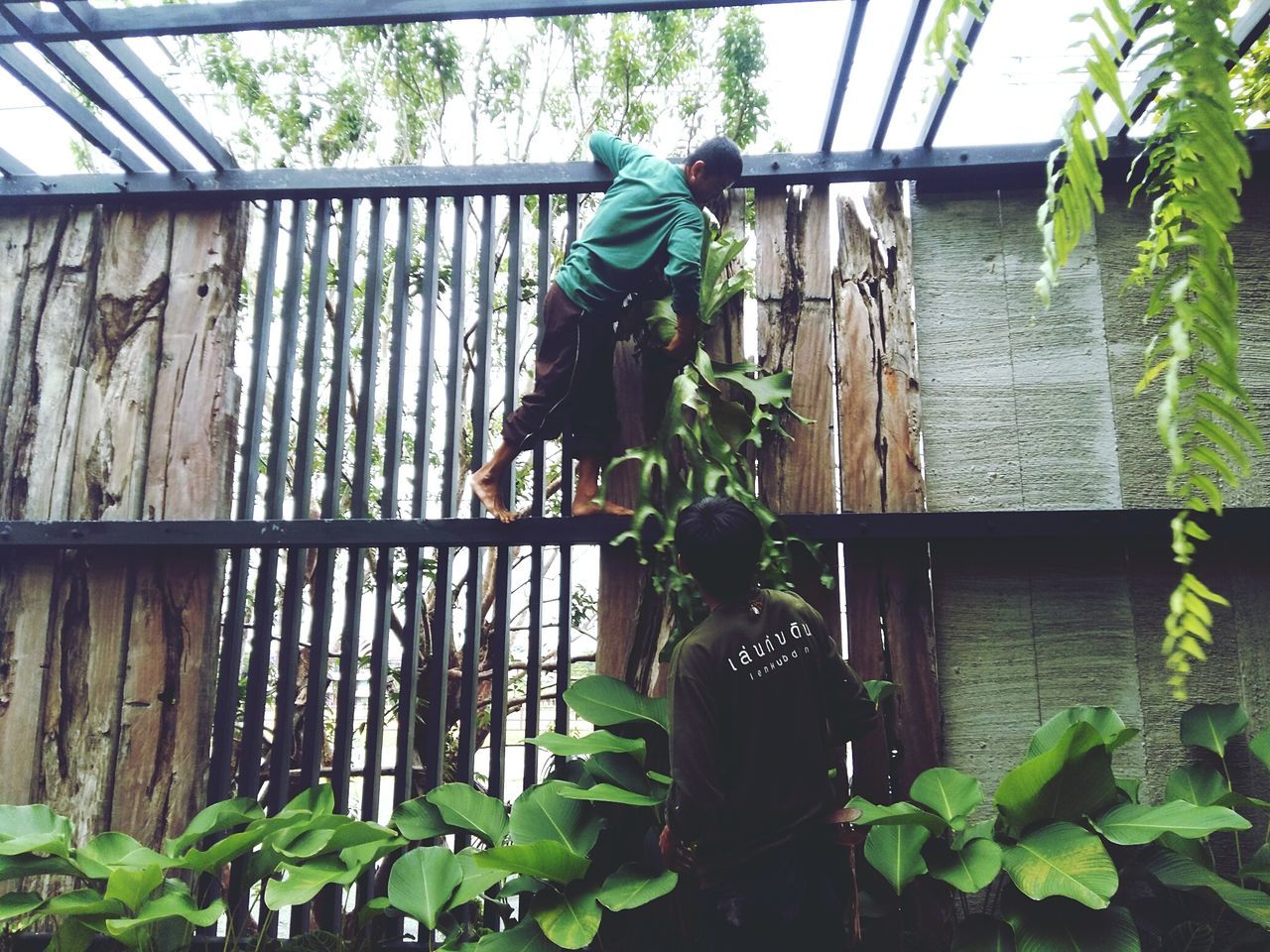 real people, men, day, plant, people, child, architecture, nature, lifestyles, full length, males, leaf, casual clothing, plant part, boys, childhood, leisure activity, built structure, standing, green color, outdoors