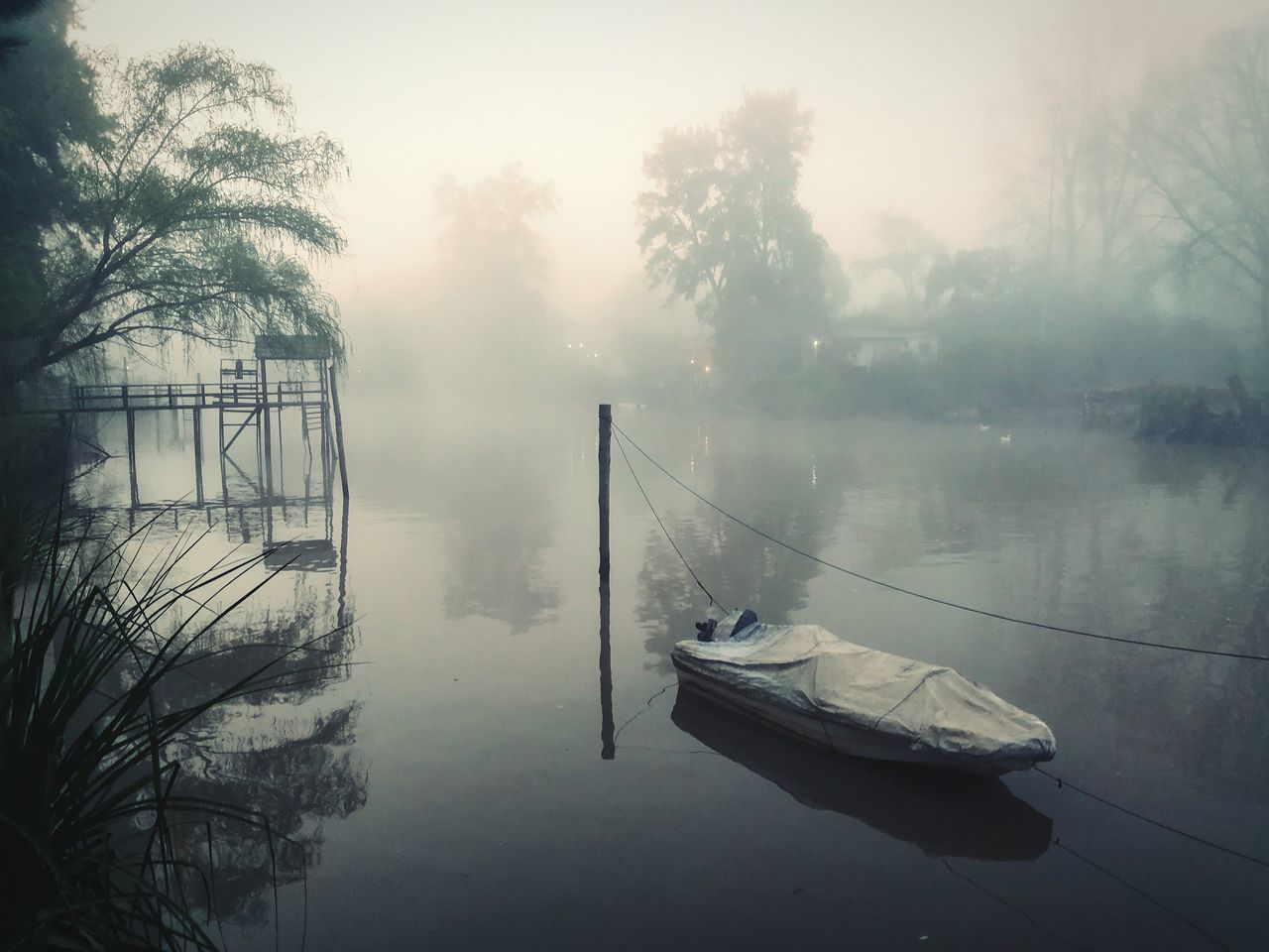 fog, morning, mist, reflection, tree, water, nautical vessel, nature, transportation, plant, tranquility, mode of transportation, beauty in nature, tranquil scene, dawn, lake, scenics - nature, no people, sky, darkness, sunlight, winter, ship, outdoors, sunrise, moored, environment, day, forest, monochrome, travel, twilight, snow, non-urban scene, vehicle, cold temperature, idyllic