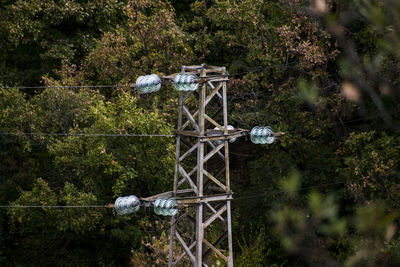 View of cross in forest