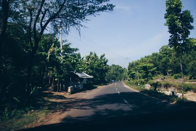 Road amidst trees against sky