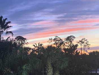 Low angle view of silhouette trees against sky during sunset