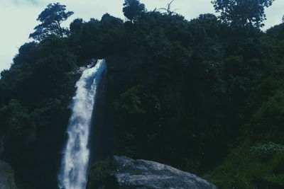 Low angle view of waterfall in forest