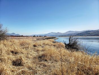 Scenic view of lake against clear sky