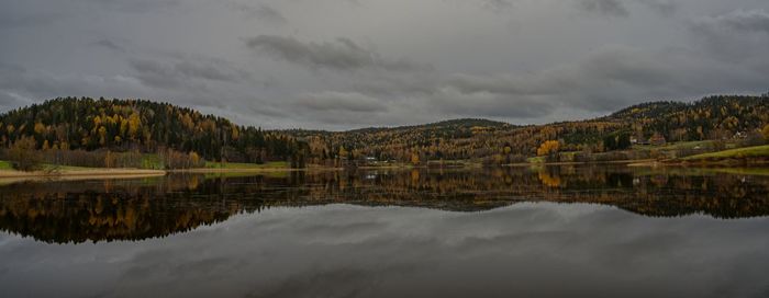 reflection