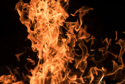 Close-up of bonfire at night