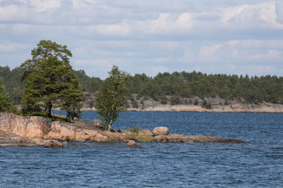 Scenic view of river by trees against sky