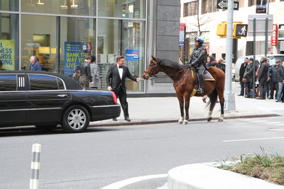 Horse cart on street in city