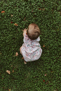 High angle view of cute baby girl crawling on grassy field