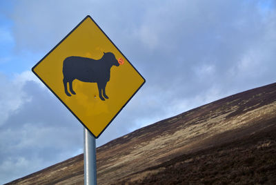 Warning sign for sheep on mountain road