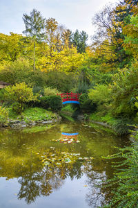 Scenic view of lake in forest during autumn