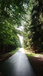 Empty road amidst trees in forest