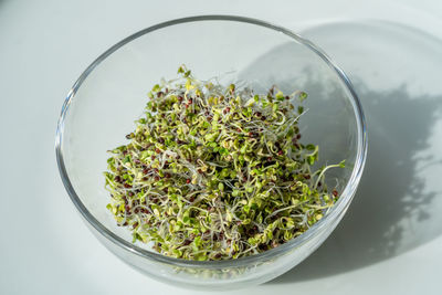 Close-up of food in bowl on table