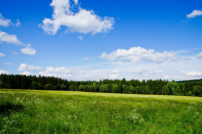 Scenic view of field against sky