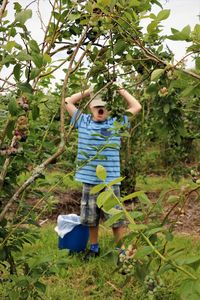 Boy playing on tree