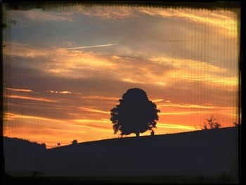 Silhouette of trees at sunset