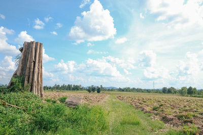 Scenic view of farm against sky