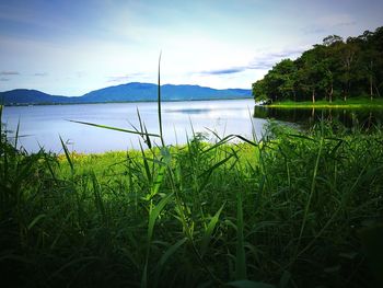 Scenic view of lake against sky