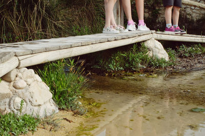 Low section of woman in pond