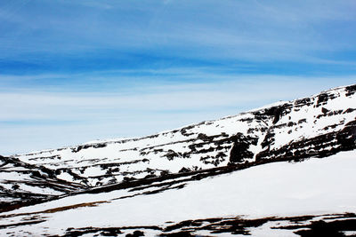 Low angle view of snow covered tree against sky