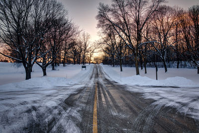 Bare trees on snow covered road