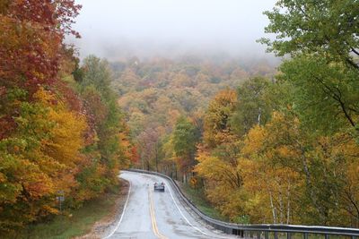 Road passing through forest during autumn