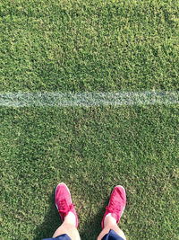 grass