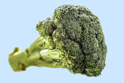 Close-up of vegetable over blue background