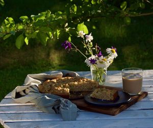 Rhubarb paj in evening in the garden